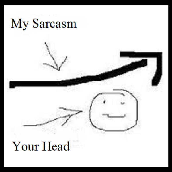 MY SARCASM ~ YOUR HEAD 600