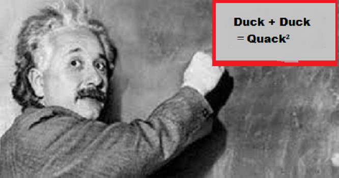Einstein Duck ~ Blank ~ Quack Squared