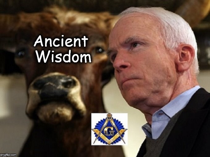 McCain Ancient Wisdom 680