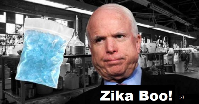 McCain Meth Lab Zika Boo