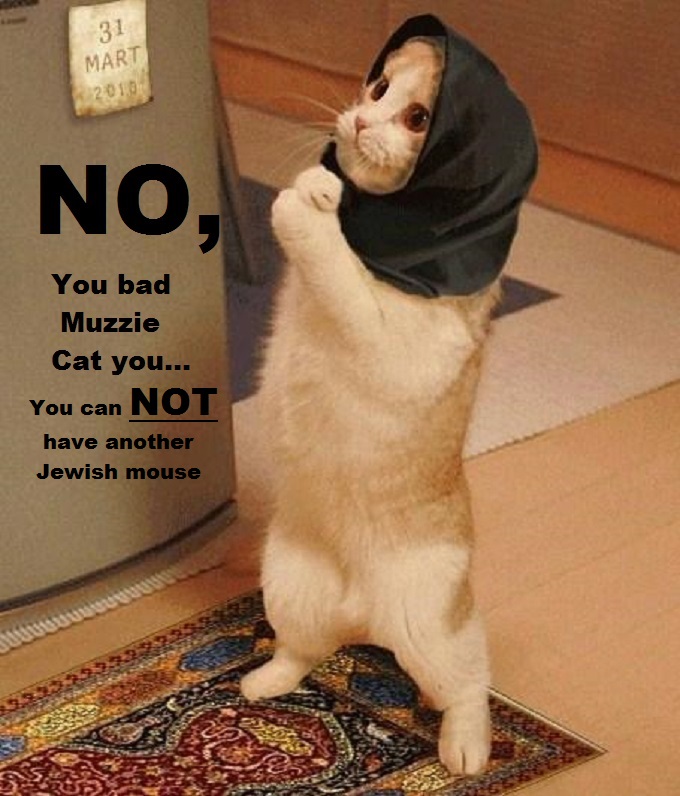 Cat with Shawl Bad Muzzie Cat Jewish mouse